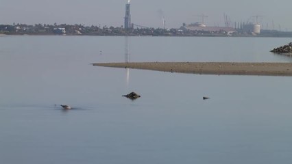 CC 11-27 JUMP 10PM PKG