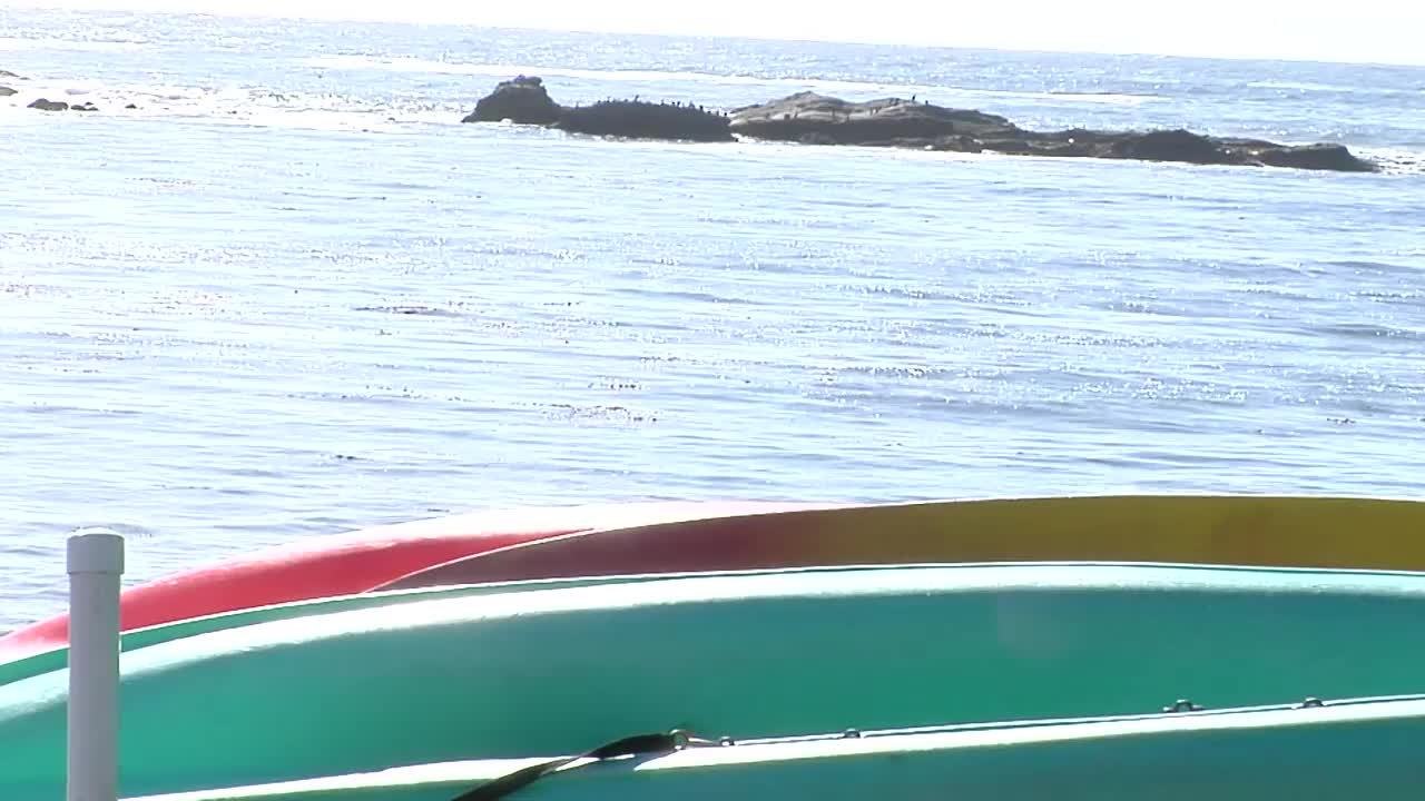 ATAQUE DE TIBURON