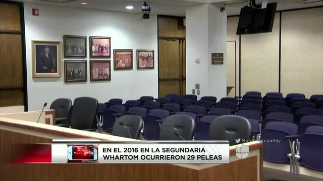 Crean cuenta de Instagram para publicar peleas escolares en Tampa