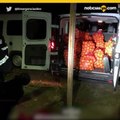 Roban miles de kilos de naranja en España