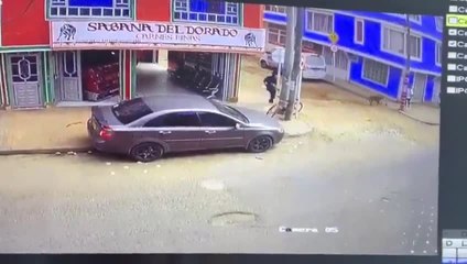 Perro roba carne a cliente colombiano