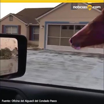 Oficial intent%c3%b3 detener un caballo que se escap%c3%b3 en Florida