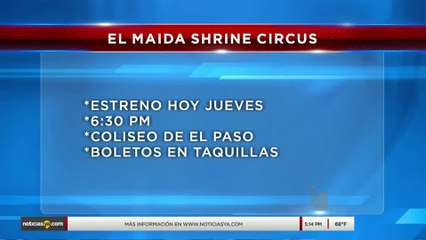 entrevista shrine circus