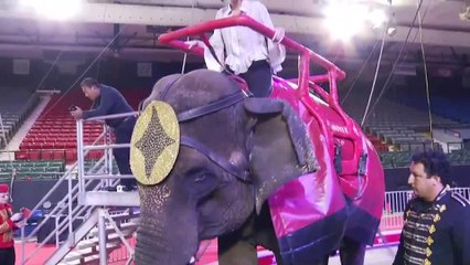 shrine circus el paso