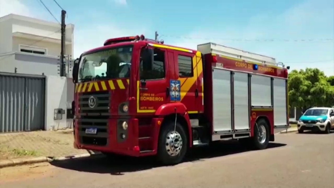Corpo de Bombeiros é acionado para capturar porco-espinho no Bairro Canadá, em Cascavel