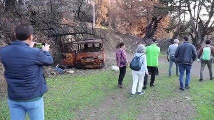 Son dakika... Marmaris'te orman yangınları çalıştayı tamamlandı