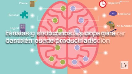 Así es como la pornografía afecta tu cerebro