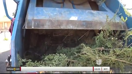 Noticias Laredo 5pm 120417 - Clip - ramas