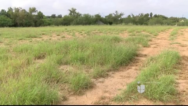 Noticias Laredo 5pm 102017 - Clip Vet Museo