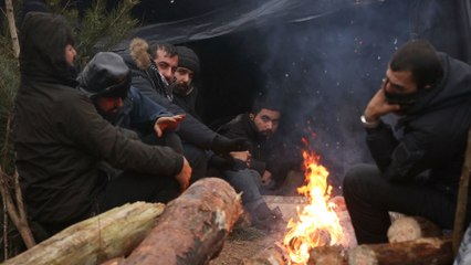 استمرار أزمة اللجوء على الحدود بين بيلاروسيا وبولندا