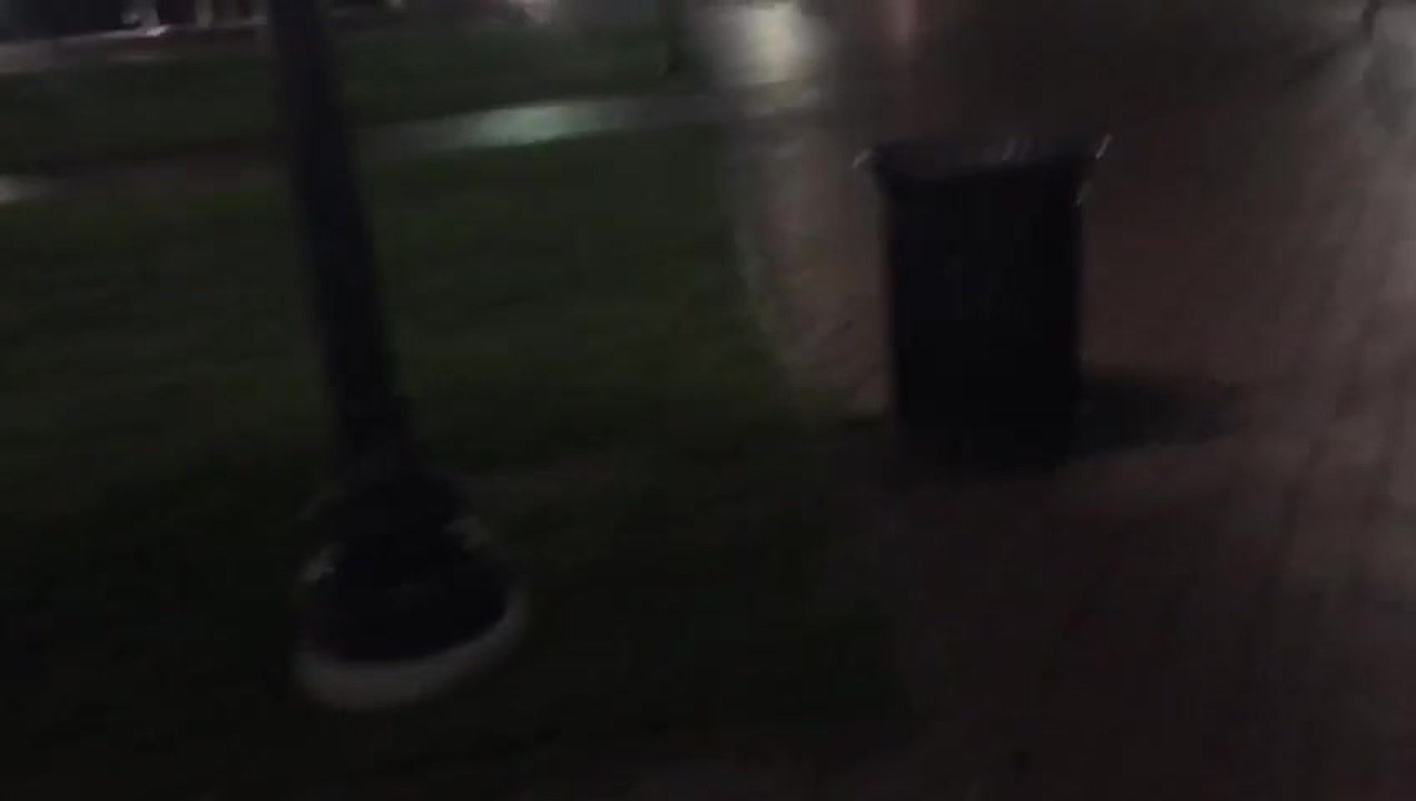 Ratas en DC