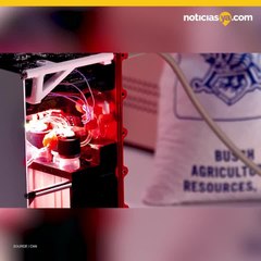 Budweiser llega al espacio su salida en cabo cañaveral