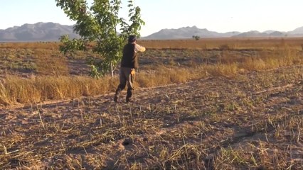 DOVE AND DUCK HUNTING WITH FRANK STALLONE [HD, 1280x720]