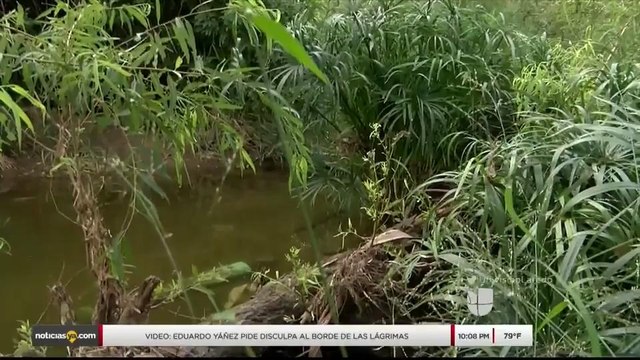 Noticias Laredo 10pm 102017 - Clip - museo