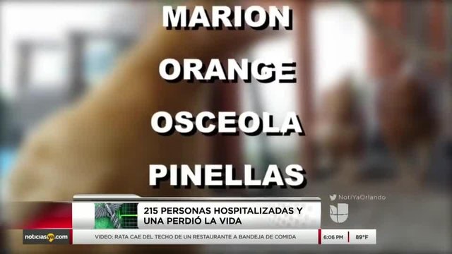Reportan decenas de casos de salmonela en Florida