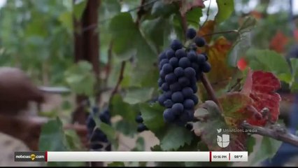 Comienza renegociación del Tratado de Libre Comercio