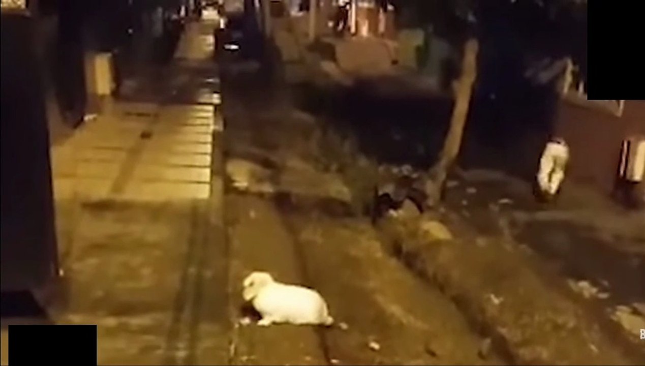 Top 4 scariest video clip