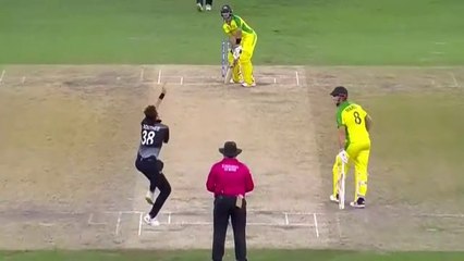 Australia Winning Moment of  T20 Final 2021
