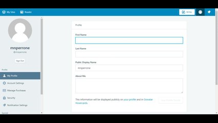 Editar avatar wordpress.avi