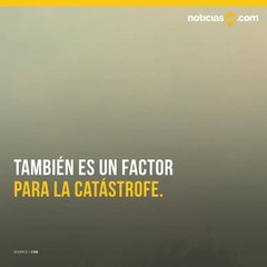 Por que California no logra controlar los incendios