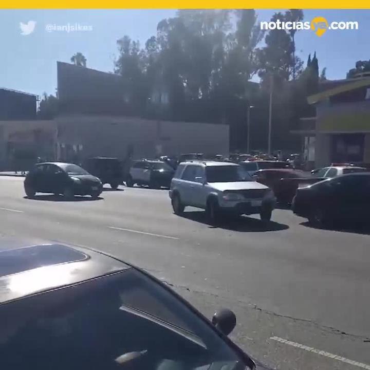 Salsa McDonalds