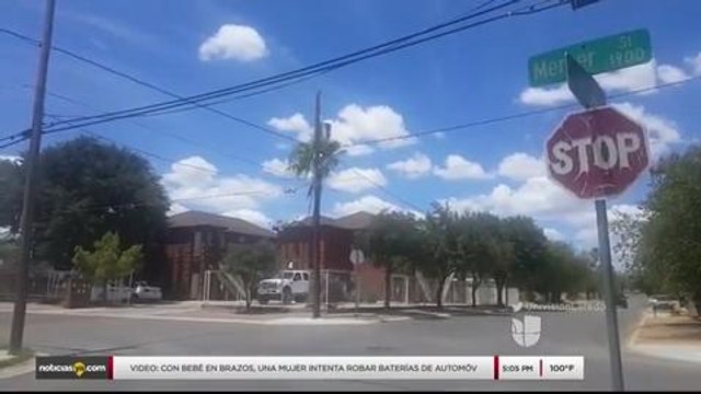 Noticias Laredo 5pm 082317 - Clip - crueldad animal