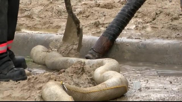 Noticias Laredo 5pm 092817 - Clip - derrame