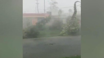 Update on Hurricane Maria in Puerto Rico