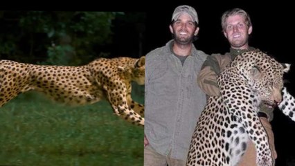 Celebridades que cazan animales por diversión