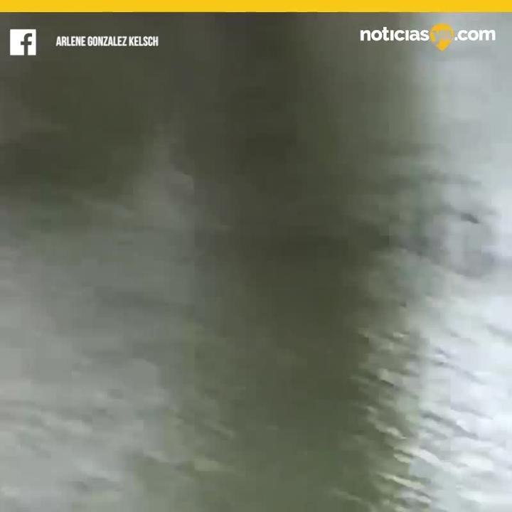 Caimanes Texas Harvey