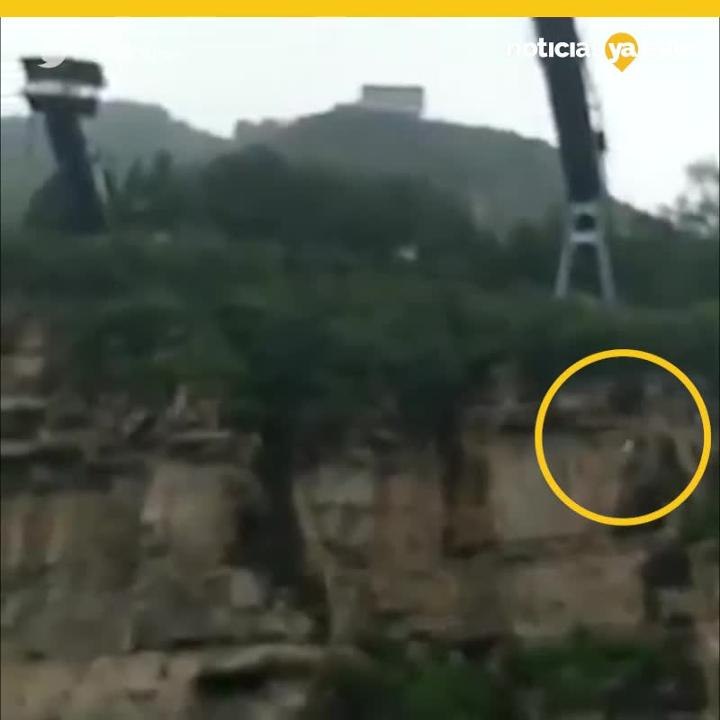 caida bungee