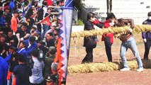 320년 전통 큰 줄다리기 '마두희 축제' 19일 개최...규모 축소해 열려 / YTN