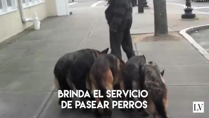 Formas increíbles de hacer dinero