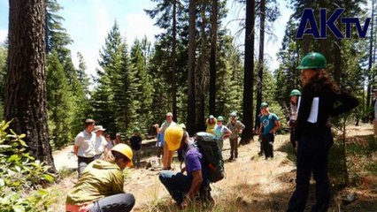 পৃথিবী বাঁচানোর আহবান জানালেন রানী এলিজাবেথ, rani elizabeth