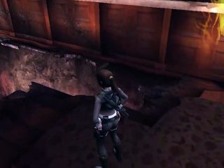 Tomb Raider : Underworld online multiplayer - ps2