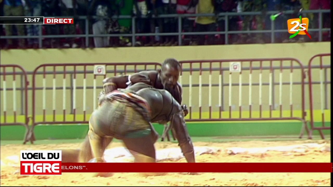 L’ŒIL DU TIGRE AVEC BECAYE, TAPHA ET MBAYE FALL | DIM 07 NOV. 2021 | DIMANCHE 14 NOVEMBRE 2021