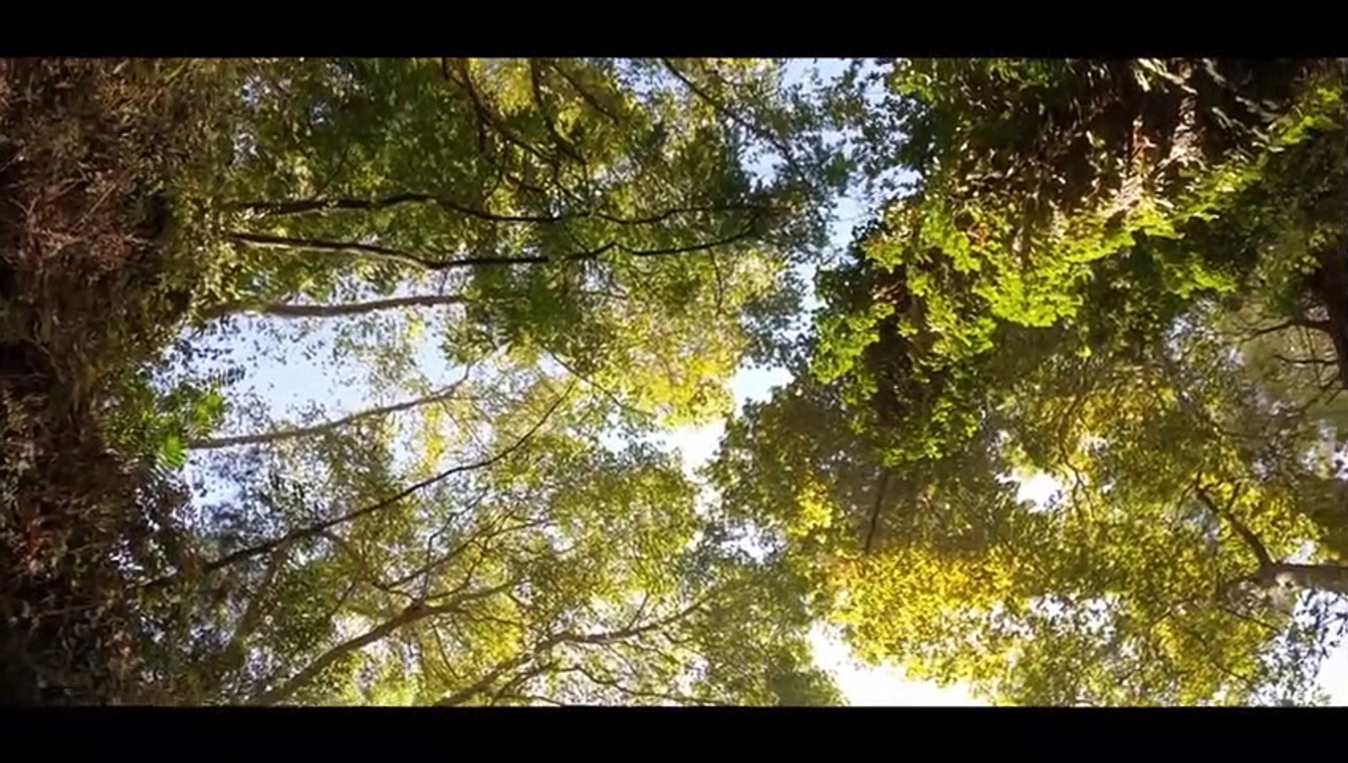 Music Video Cinematic