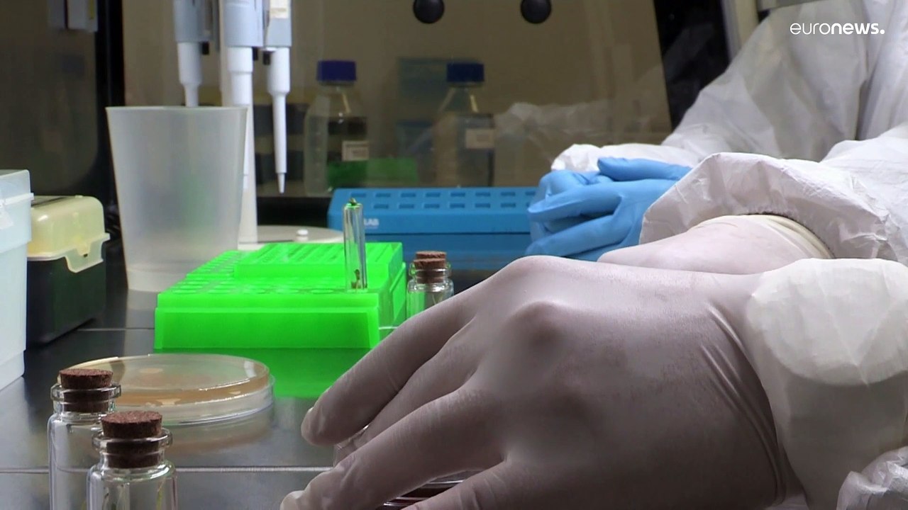 Gegen Covid-19: Essbares aus der Natur