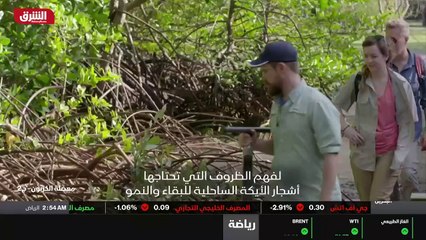 ...إعادة تهيئة الظروف لاستعادة هؤلاء المداف...