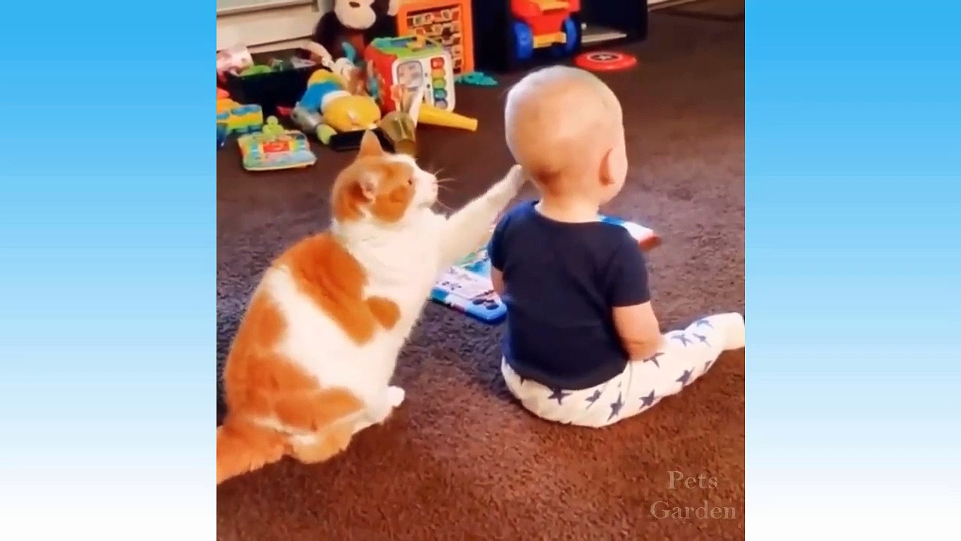 Cute Pets And Funny Animals Compilation