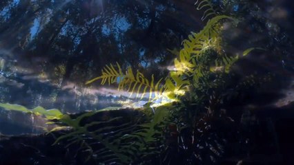 Derry Sulaiman - DSAS 2 - Official Video Clip