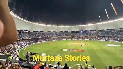 Australia Winning Moment _ Australia Win World Cup 2021 _ Australia vs New Zealand |aus vs NZ winning moment