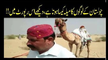 Gadaa Shah Bukhari Kay Urse per Choolistai Meila | Indus Plus News Tv