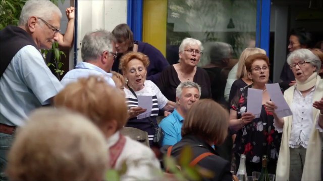 PINGOUIN & GOÉLAND ET LEURS 500 PETITS Film