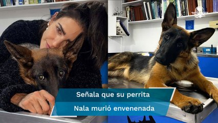 Llora Bárbara de Regil a su mascota