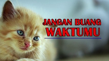 kata mutiara kehidupan JANGAN BUANG WAKTUMU