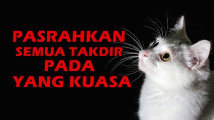 kata mutiara kehidupan PASRAHKAN SEMUA TAKDIR PADA YANG KUASA