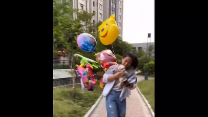 Funny and Cute Dog Pomeranian _ Funny Puppy Videos #1