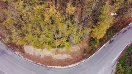 Zonguldak ormanlarındaki hazan renkleri havadan görüntülendi