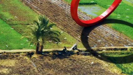 ...آلاف السنين النباتات والأعشاب والزيوت ال...